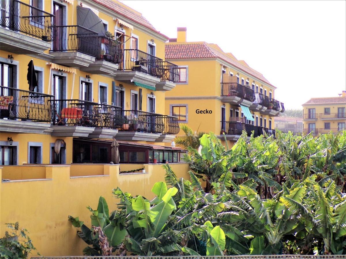 Gecko Apartment Tazacorte Ngoại thất bức ảnh